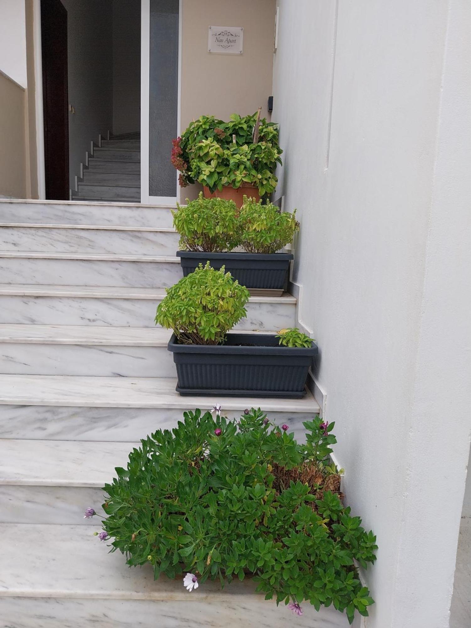 Apartment Nav Apart, Salamina